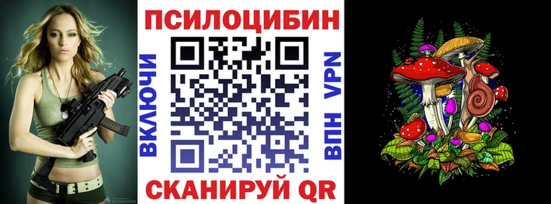Купить где  Суворов  Псилоцибиновые грибы Cubensis 