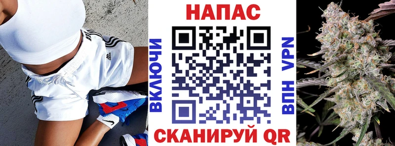Бошки марихуана Amnesia  Купить где  Суворов 